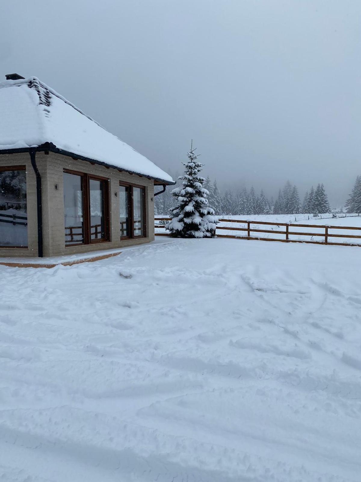 Vikendica Krlic Villa Mitrovac Exterior foto